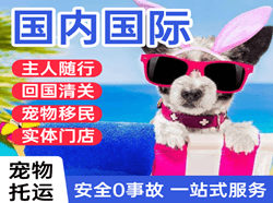 敦煌莫高机场空运国际宠物托运 【国